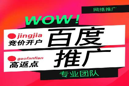 百度品牌广告的创意与执行案例